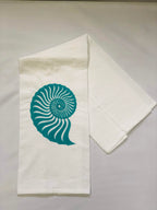 Turquoise Teal Nautilus Shell